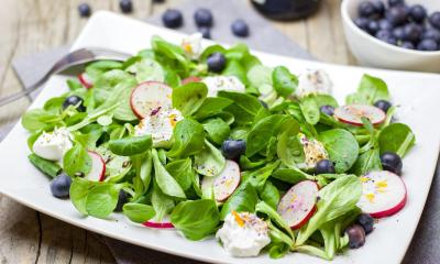 Blattsalat mit Radieschen und Blaubeeren